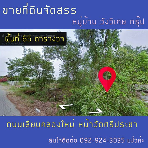 ขายที่ดินจัดสรร ลำตาเสา 65 ตร.ว. อ.วังน้อย พระนครศรีอยุธยา เหมาะสำหรับสร้างบ้าน โทร 092-924-3035